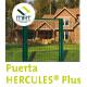 Puerta Hércules verde peatonal