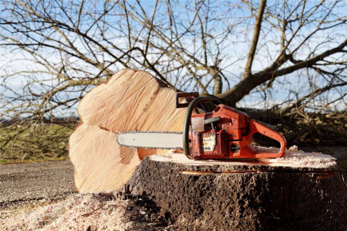 Tipos de sierras eléctricas para cortar madera
